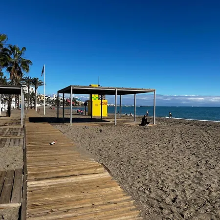 Msm Patos Tropicana *